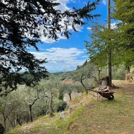 La Ghiandaia Monteggiori Culla