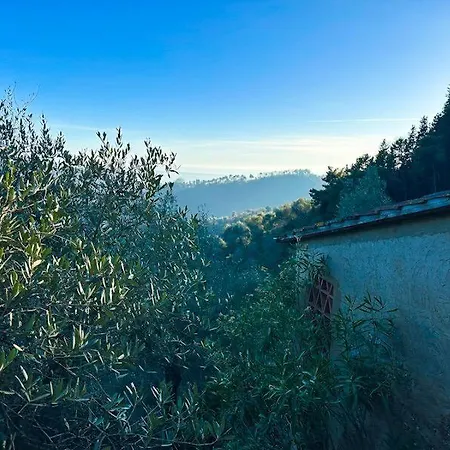Feriehus La Ghiandaia Monteggiori Culla