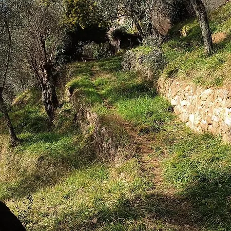 La Ghiandaia Monteggiori *