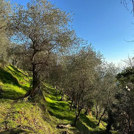 La Ghiandaia Monteggiori *