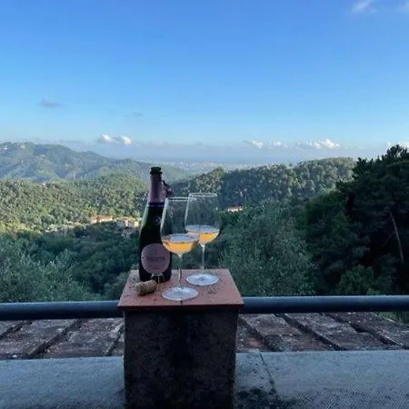 La Ghiandaia Monteggiori * Culla