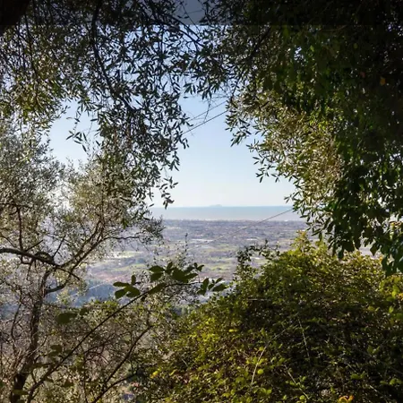 La Ghiandaia Monteggiori * Culla