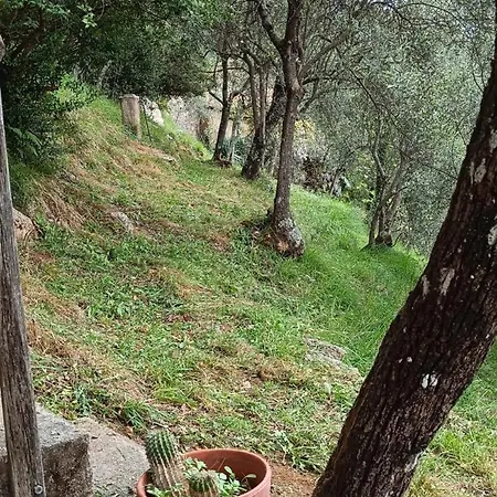 La Ghiandaia Monteggiori * Culla