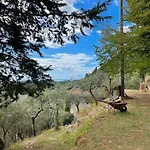 La Ghiandaia Monteggiori Culla