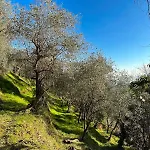 La Ghiandaia Monteggiori Culla