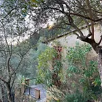 La Ghiandaia Monteggiori