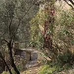 La Ghiandaia Monteggiori *