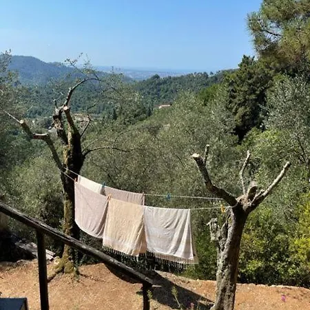 La Ghiandaia Monteggiori Culla