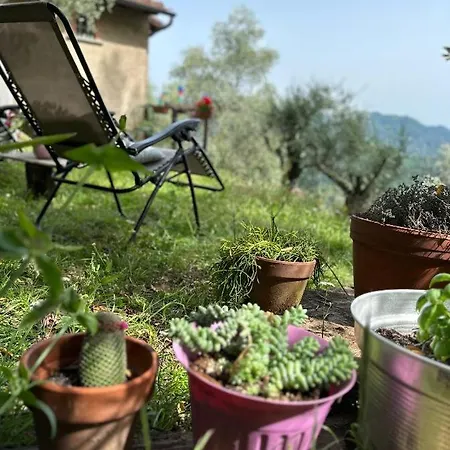 Ferienhaus La Ghiandaia Monteggiori *