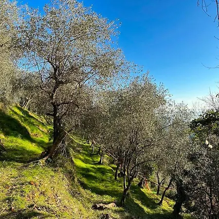 La Ghiandaia Monteggiori Culla
