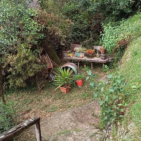 La Ghiandaia Monteggiori Ferienhaus