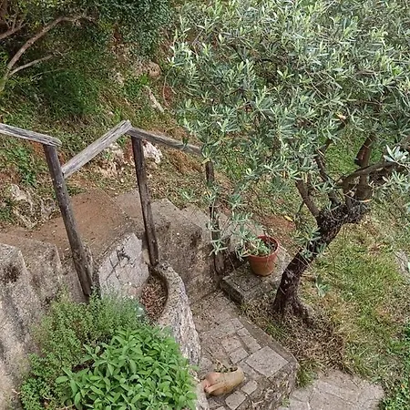 La Ghiandaia Monteggiori Ferienhaus Culla